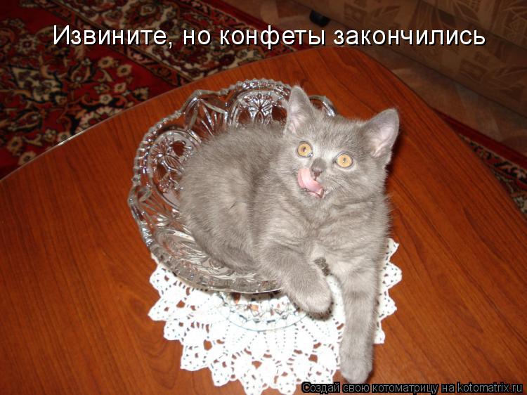 Котоматрица: Извините, но конфеты закончились