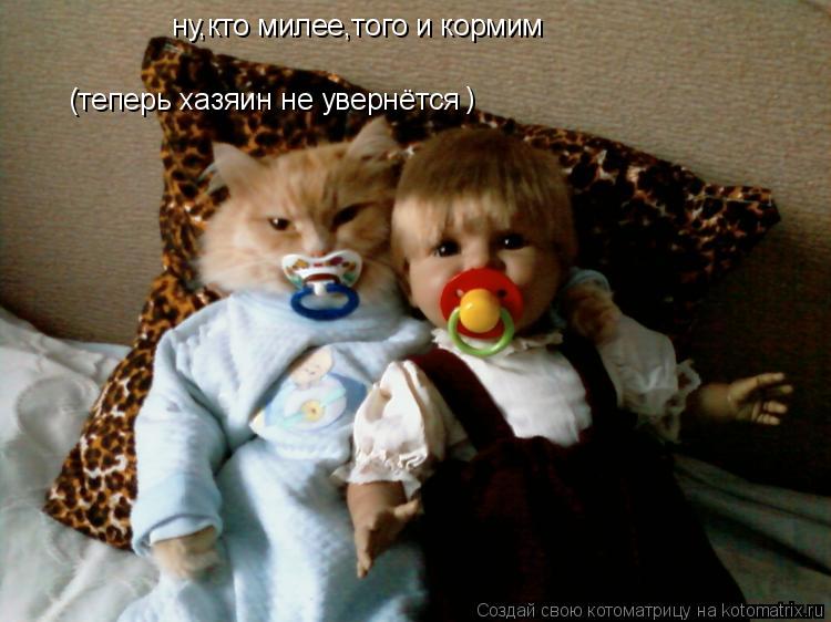 Котоматрица: ну,кто милее,того и кормим (теперь хазяин не увернётся )