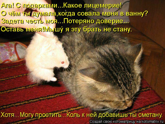 Котоматрица: Ага! С подарками...Какое лицемерие! О чём ты думала,когда совала меня в ванну? Задета честь моя...Потеряно доверие... Оставь меня!Мыш&#253; я эту б
