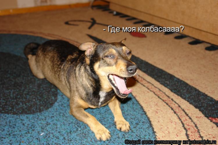 Котоматрица: - Где моя колбасаааа?