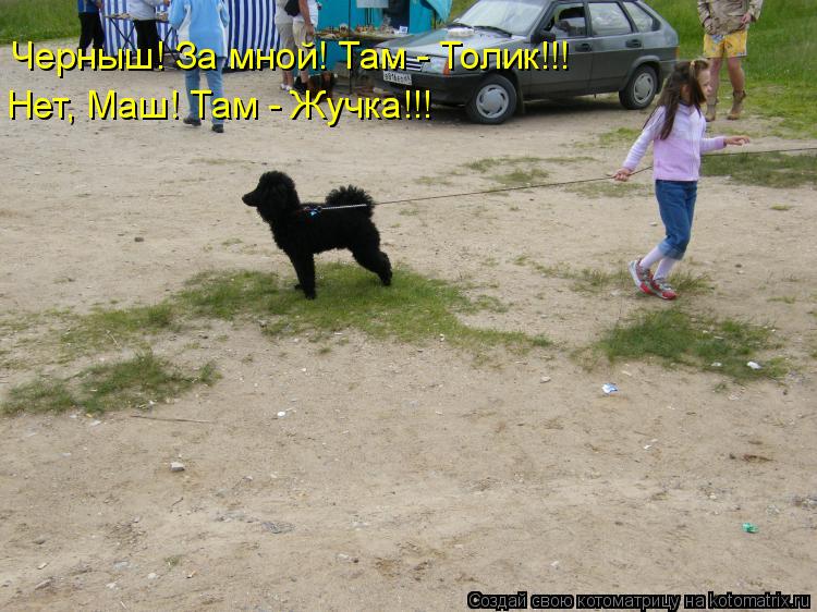 Черныш! За мной! Там - Толик!!! Нет, Маш! Там - Жучка!!!... Котоматрица: Черныш! За мной! Там - Толик!!! Нет, Маш! Там - Жучка!!!