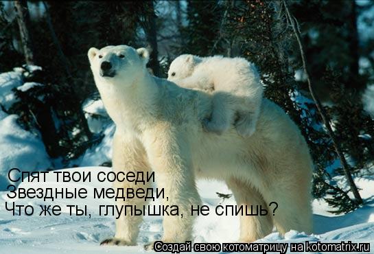 Котоматрица: Спят твои соседи Звездные медведи, Что же ты, глупышка, не спишь?