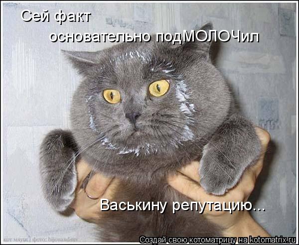 Котоматрица: Сей факт  основательно подМОЛОЧил Васькину репутацию...