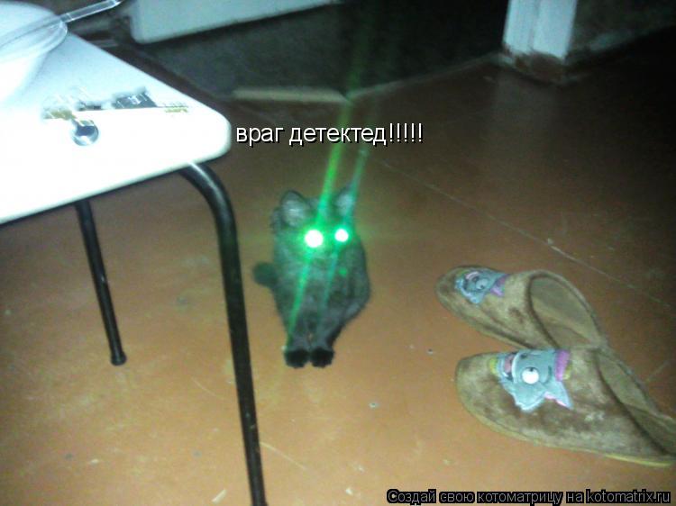 Котоматрица: враг детектед!!!!!