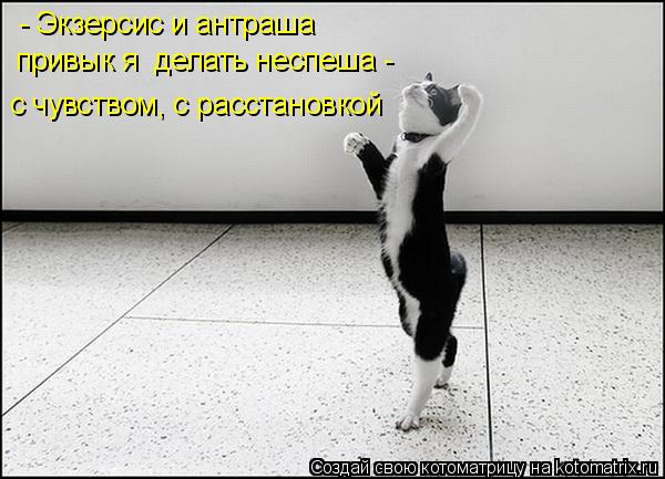Котоматрица: - Экзерсис и антраша  привык я  делать неспеша - с чувством, с расстановкой