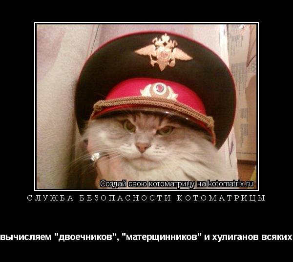 Котоматрица: служба безопасности котоматрицы вычисляем "двоечников", "матерщинников" и хулиганов всяких