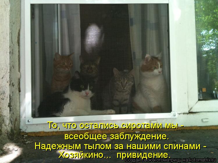 Котоматрица: То, что остались сиротами мы - всеобщее заблуждение. Надежным тылом за нашими спинами - Хозяйкино...  привидение.
