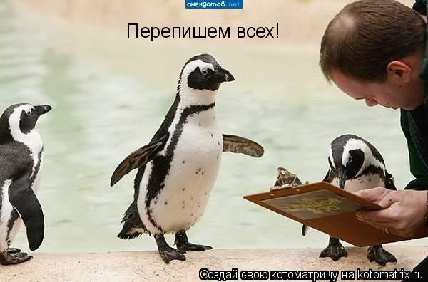 Котоматрица: Перепишем всех!
