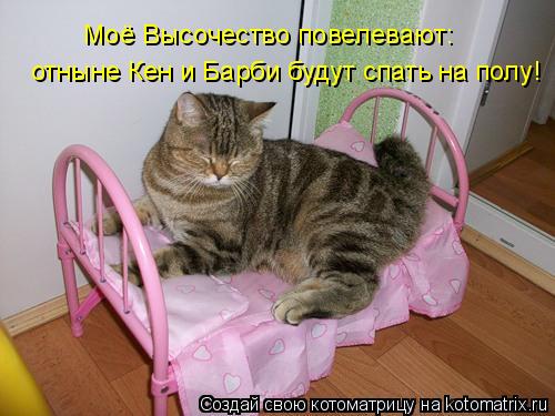 Котоматрица: Моё Высочество повелевают: отныне Кен и Барби будут спать на полу!