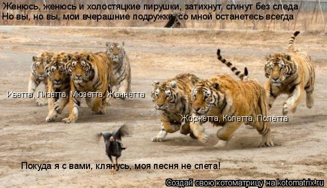 Котоматрица: Женюсь, женюсь и холостяцкие пирушки, затихнут, сгинут без следа Но вы, но вы, мои вчерашние подружки, со мной останетесь всегда Иветта, Лизе