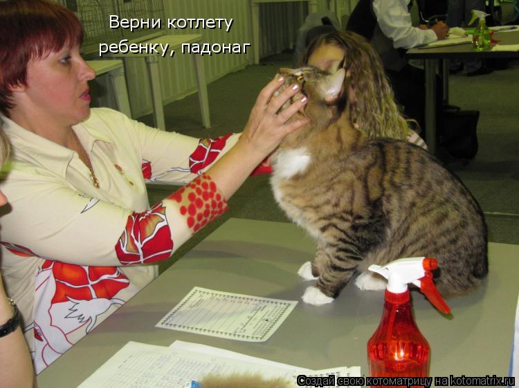 Котоматрица: Верни котлету  ребенку, падонаг