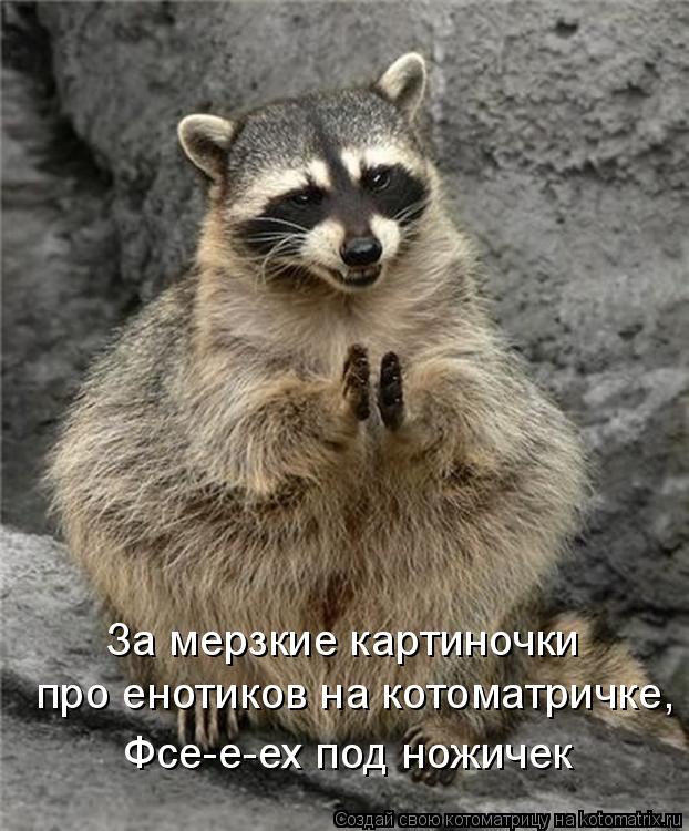 Котоматрица: про енотиков на котоматричке, Фсе-е-ех под ножичек За мерзкие картиночки