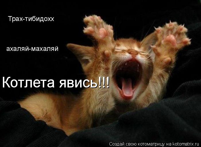 Котоматрица: Котлета явись!!! Трах-тибидохх ахаляй-махаляй