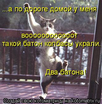Котоматрица: ...а по дороге домой у меня воооооооооооот такой батон колбасы украли. Два батона!