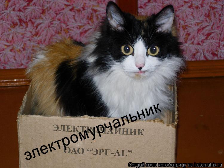 Котоматрица: электромурчальник