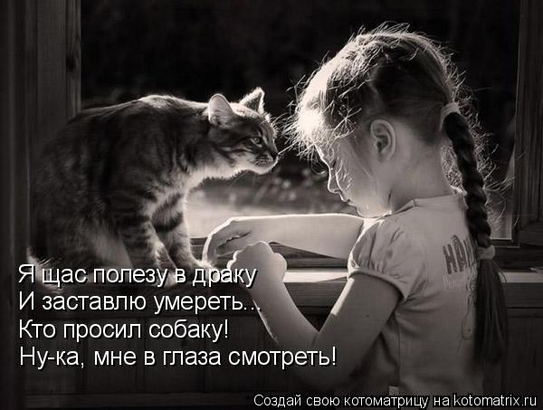 Котоматрица: Я щас полезу в драку И заставлю умереть... Кто просил собаку! Ну-ка, мне в глаза смотреть!