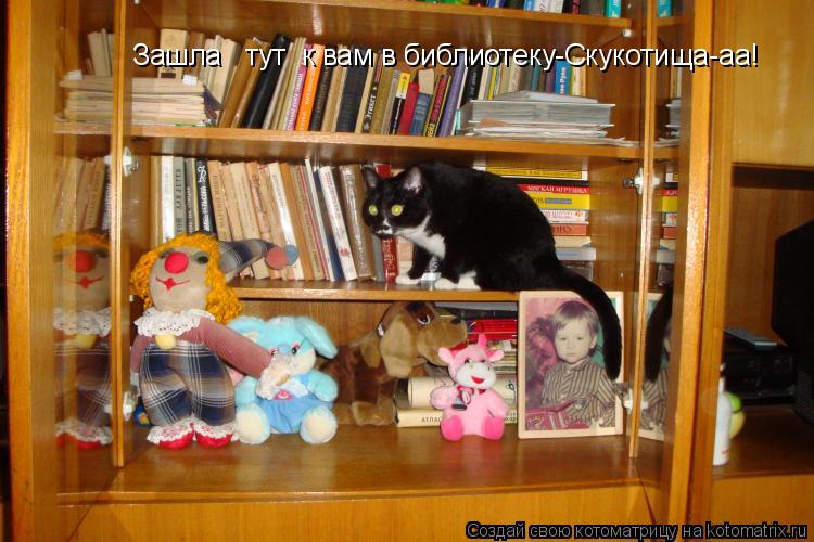 Котоматрица: Зашла   тут  к вам в библиотеку-Скукотища-аа!