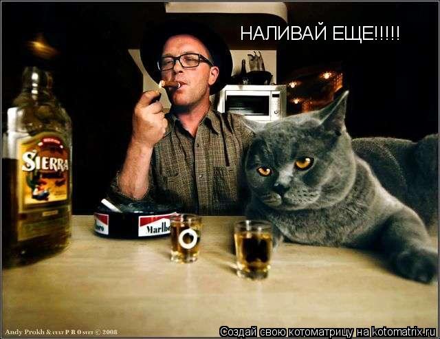 Котоматрица: НАЛИВАЙ ЕЩЕ!!!!!