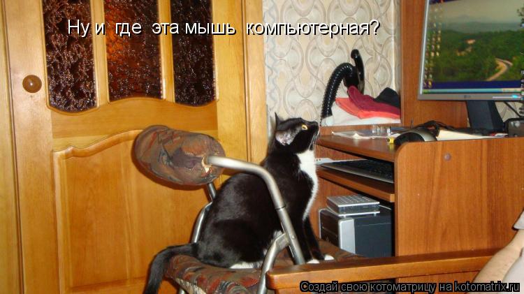 Котоматрица: Ну и  где  эта мышь  компьютерная?
