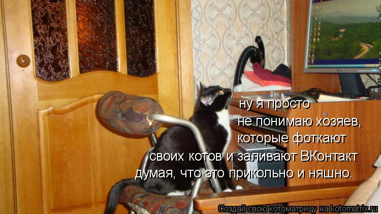 Котоматрица: ну я просто  не понимаю хозяев, которые фоткают своих котов и заливают ВКонтакт думая, что это прикольно и няшно.