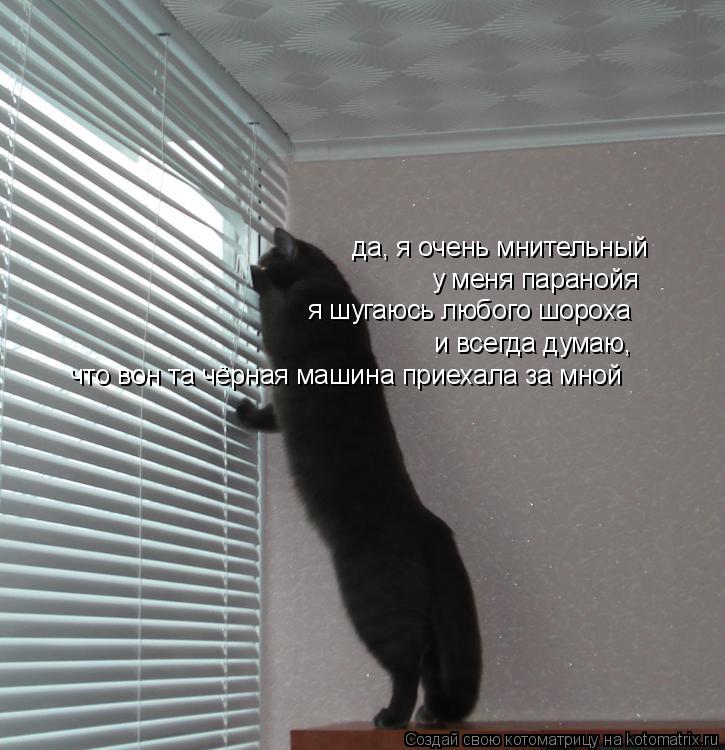 Котоматрица: да, я очень мнительный у меня паранойя я шугаюсь любого шороха и всегда думаю,  что вон та чёрная машина приехала за мной