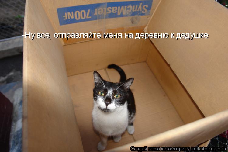 Котоматрица: -Ну все, отправляйте меня на деревню к дедушке