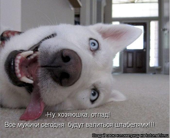 Котоматрица: -Ну, хозяюшка, отпад!  Все мужики сегодня  будут валиться штабелями!!!