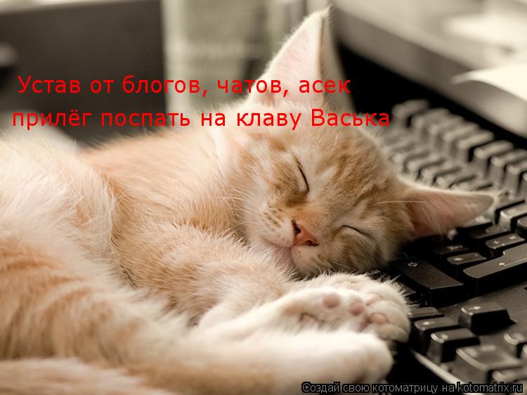 Котоматрица: Устав от блогов, чатов, асек прилёг поспать на клаву Васька