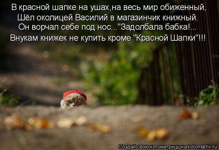 Котоматрица: В красной шапке на ушах,на весь мир обиженный, Шёл околицей Василий в магазинчик книжный. Внукам книжек не купить кроме "Красной Шапки"!!! Он 