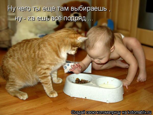 Котоматрица: Ну чего ты ещё там выбираешь , ну - ка ешь всё подряд ...