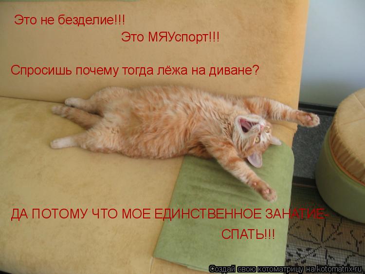 Котоматрица: Это не безделие!!! Это МЯУспорт!!! Спросишь почему тогда лёжа на диване? ДА ПОТОМУ ЧТО МОЕ ЕДИНСТВЕННОЕ ЗАНАТИЕ- СПАТЬ!!!