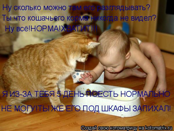 Котоматрица: Ну сколько можно там его разглядывать? Ты что кошачьего корма никогда не видел? Ну всё!НОРМА!ХВАТИТ!!! Я ИЗ-ЗА ТЕБЯ 5 ДЕНЬ ПОЕСТЬ НОРМАЛЬНО  НЕ 