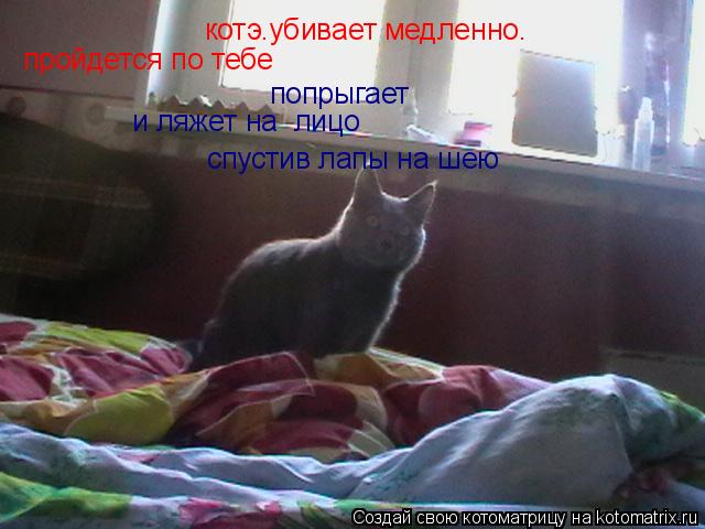 Котоматрица: котэ.убивает медленно. пройдется по тебе попрыгает и ляжет на  лицо спустив лапы на шею