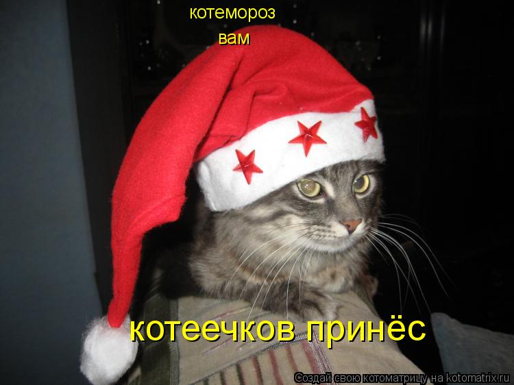 Котоматрица: котемороз вам котеечков принёс