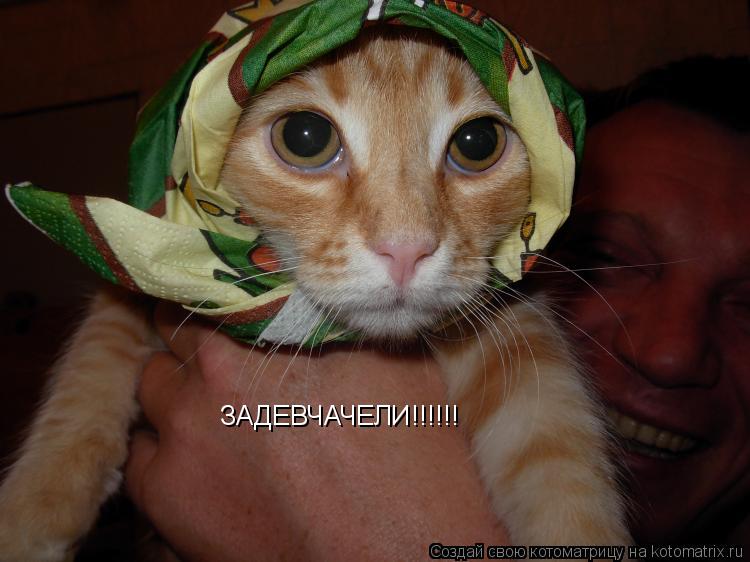 Котоматрица: ЗАДЕВЧАЧЕЛИ!!!!!!