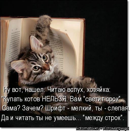 Ну вот, нашел. Читаю вслух, хозяйка: Сама? Зачем? Шрифт - мелкий, ты - слепая. Да и читать ты не уме... Котоматрица: Ну вот, нашел. Читаю вслух, хозяйка: Сама? Зачем? Шрифт - мелкий, ты - слепая. Да и читать ты не умеешь... "между строк". "Купать котов НЕЛЬЗЯ. Вам "