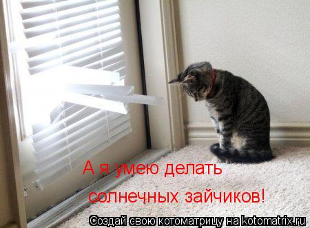 Котоматрица: солнечных зайчиков! А я умею делать