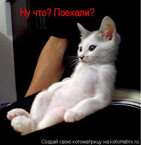 Котоматрица: Ну что? Поехали?