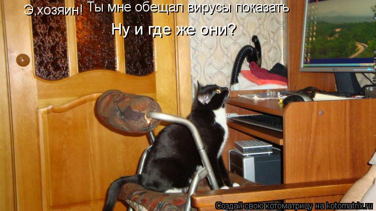 Котоматрица: Э,хозяин! Ты мне обещал вирусы показать Ну и где же они?
