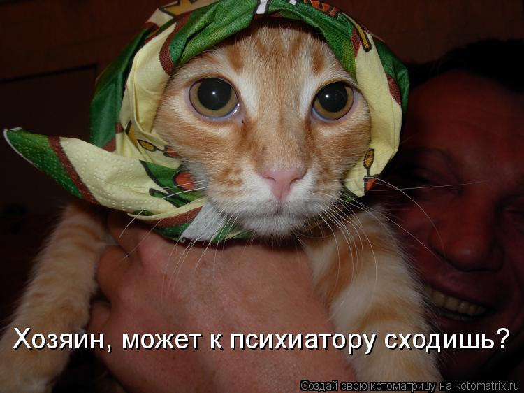 Котоматрица: Хозяин, может к психиатору сходишь?