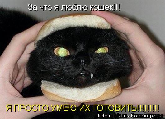 Котоматрица: За что я люблю кошек!!! Я ПРОСТО УМЕЮ ИХ ГОТОВИТЬ!!!!!!!!!