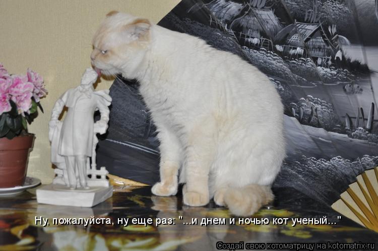 Котоматрица: Ну, пожалуйста, ну еще раз: "...и днем и ночью кот ученый..."