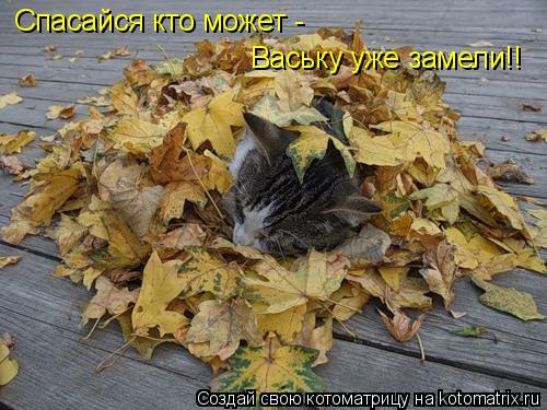 Котоматрица: Спасайся кто может -  Ваську уже замели!!