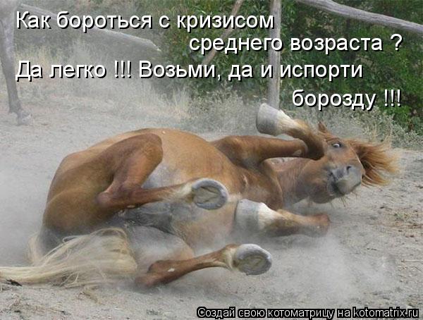 Как бороться с кризисом среднего возраста ? Да легко !!! Возьми, да и испорти борозду !!!... Котоматрица: Как бороться с кризисом среднего возраста ? Да легко !!! Возьми, да и испорти борозду !!!