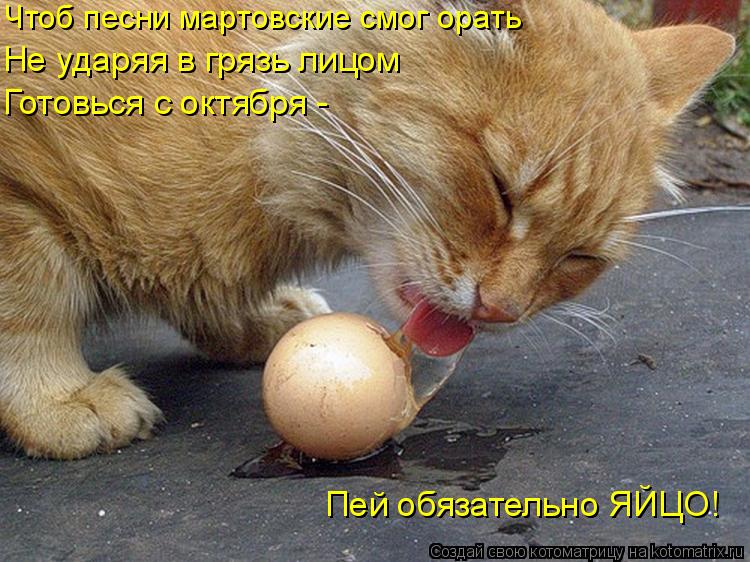 Котоматрица: Чтоб песни мартовские смог орать Не ударяя в грязь лицом Готовься с октября - Пей обязательно ЯЙЦО!