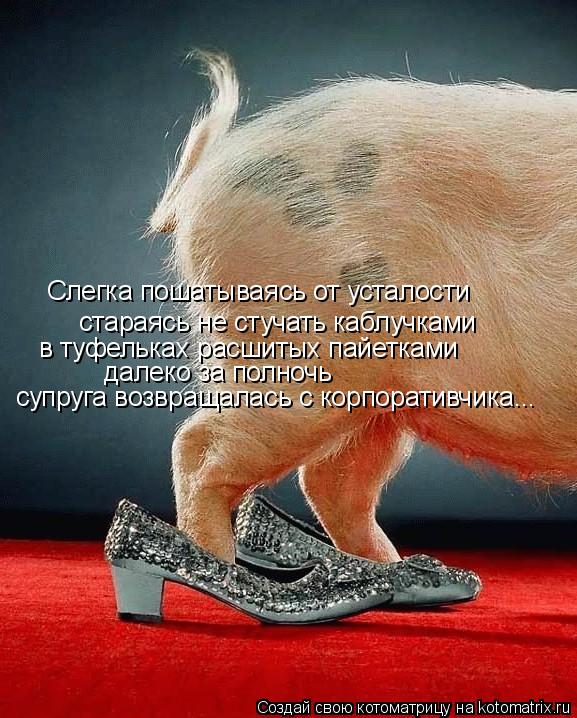 Котоматрица: стараясь не стучать каблучками Слегка пошатываясь от усталости  в туфельках расшитых пайетками далеко за полночь супруга возвращалась с к