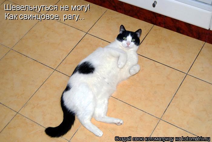 Шевельнуться не могу! Как свинцовое, рагу...... Котоматрица: Шевельнуться не могу! Как свинцовое, рагу...