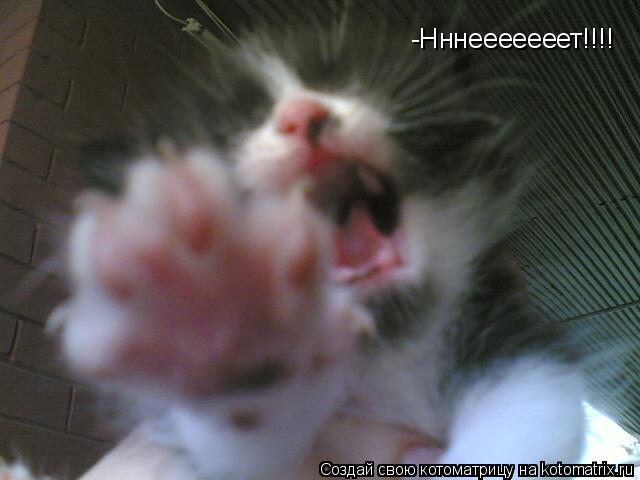 Котоматрица: -Нннееееееет!!!!