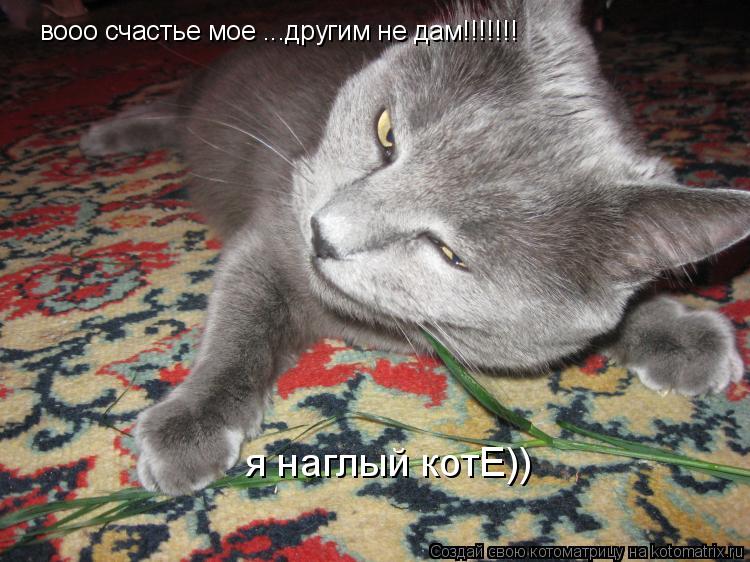Котоматрица: вооо счастье мое ...другим не дам!!!!!!! я наглый котЕ))