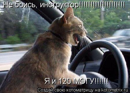 Котоматрица: Не боись, инструктор!!!!!!!!!!!!!!!!!!!! Я и 120 МОГУ!!!!!!